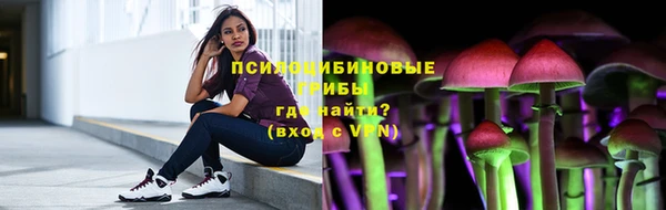 молекула духа Переславль-Залесский