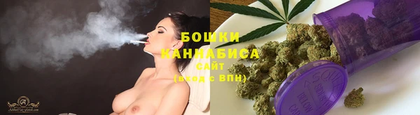 молекула духа Переславль-Залесский