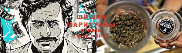 молекула духа Переславль-Залесский