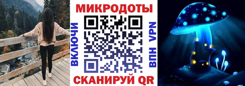 Псилоцибиновые грибы Cubensis  Белгород 