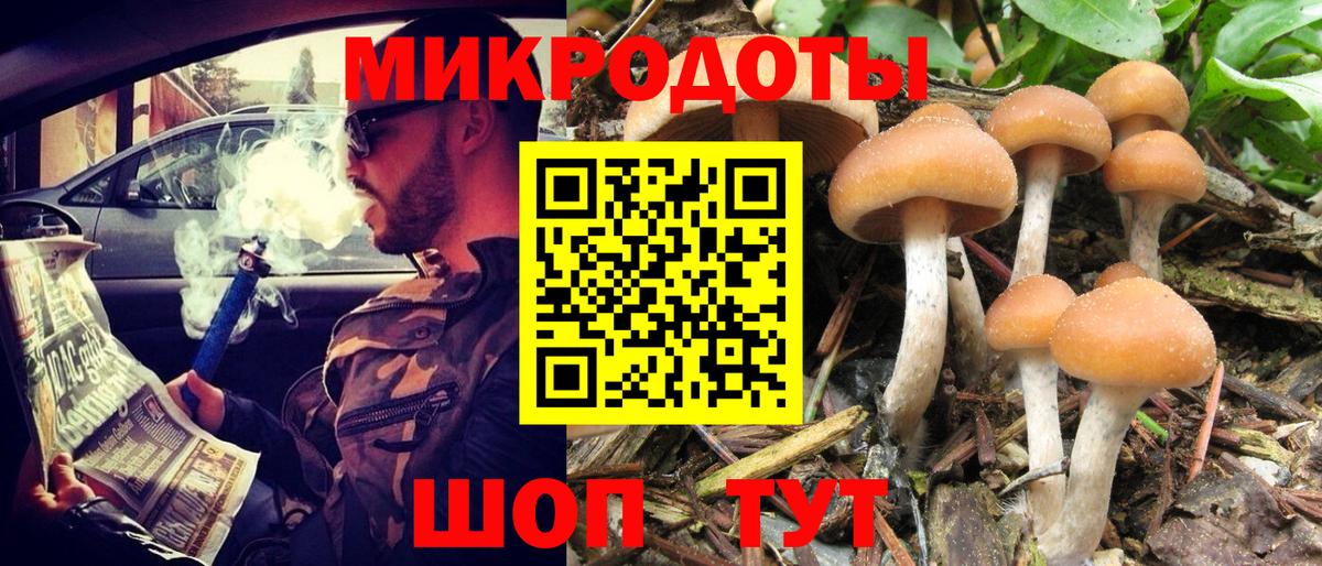 Галлюциногенные грибы GOLDEN TEACHER Белгород