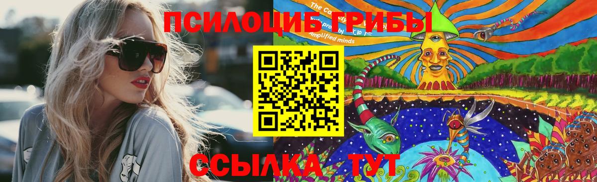 Псилоцибиновые грибы Psilocybe  Вход с VPN  Белгород 