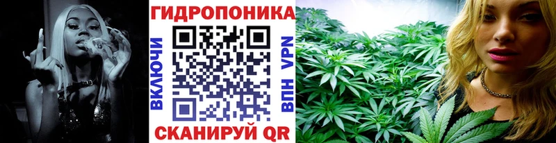 дарк нет формула  Белгород  Бошки марихуана планчик 